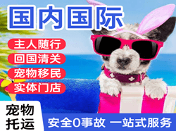 延吉机场空运国际宠物托运 【国